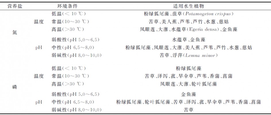 魚缸過濾桶好用嗎(魚缸過濾桶效果好不好)