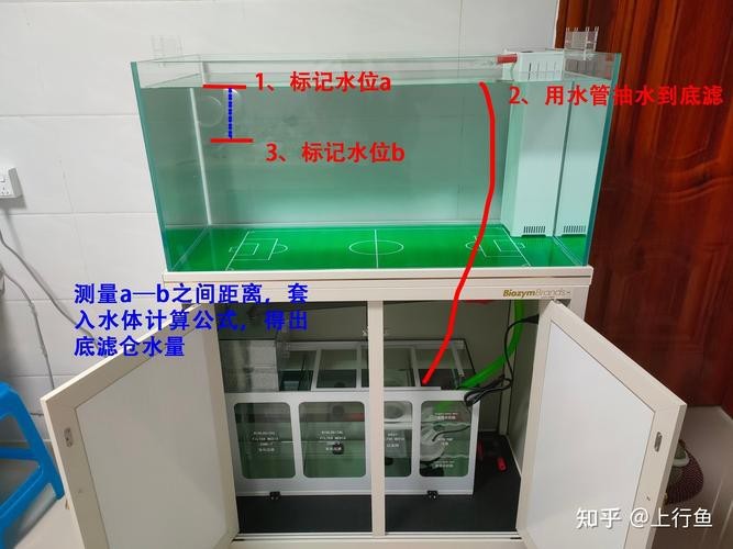 魚缸最佳水位圖|魚缸最佳水位設(shè)置的黃金法則