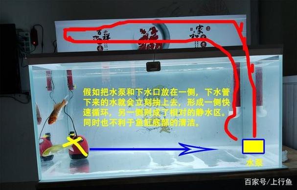 魚缸最佳水位圖|魚缸最佳水位設(shè)置的黃金法則