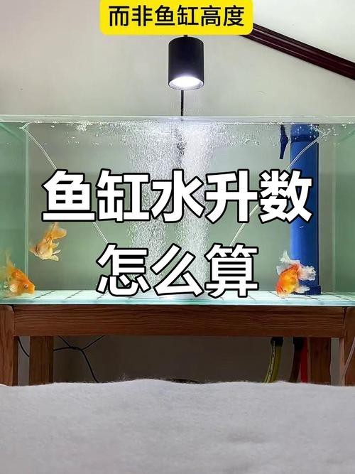 魚缸最佳水位圖|魚缸最佳水位設(shè)置的黃金法則