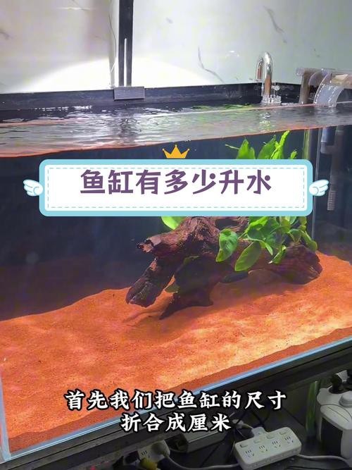 魚缸最佳水位圖|魚缸最佳水位設(shè)置的黃金法則