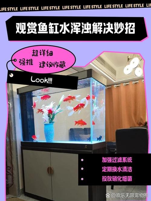魚缸最佳水位圖|魚缸最佳水位設(shè)置的黃金法則