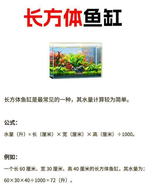 魚缸最佳水位圖|魚缸最佳水位設(shè)置的黃金法則