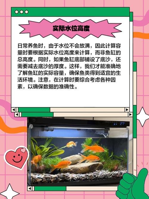 魚缸最佳水位圖|魚缸最佳水位設(shè)置的黃金法則