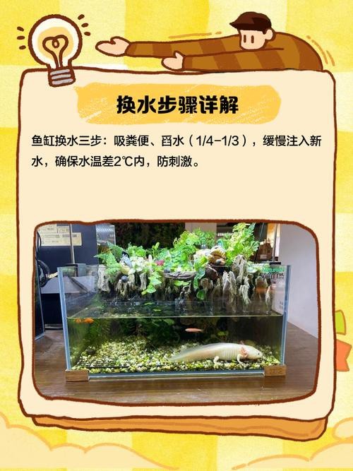 魚缸最佳水位圖|魚缸最佳水位設(shè)置的黃金法則