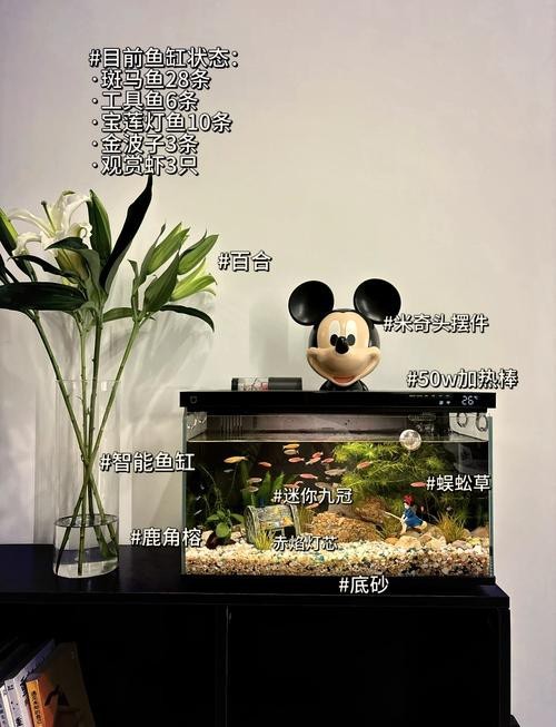 魚缸最佳水位圖|魚缸最佳水位設(shè)置的黃金法則