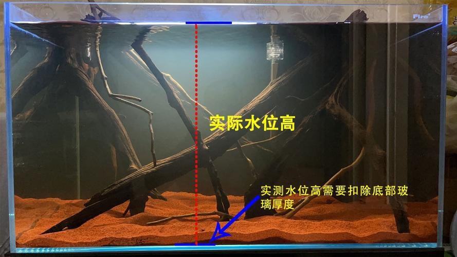 魚缸最佳水位圖|魚缸最佳水位設(shè)置的黃金法則