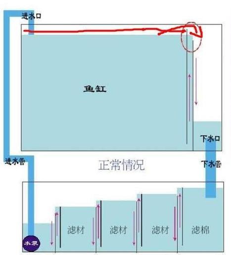 魚缸最佳水位圖|魚缸最佳水位設(shè)置的黃金法則