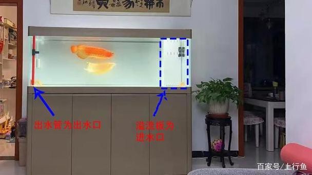 魚缸最佳水位圖|魚缸最佳水位設(shè)置的黃金法則
