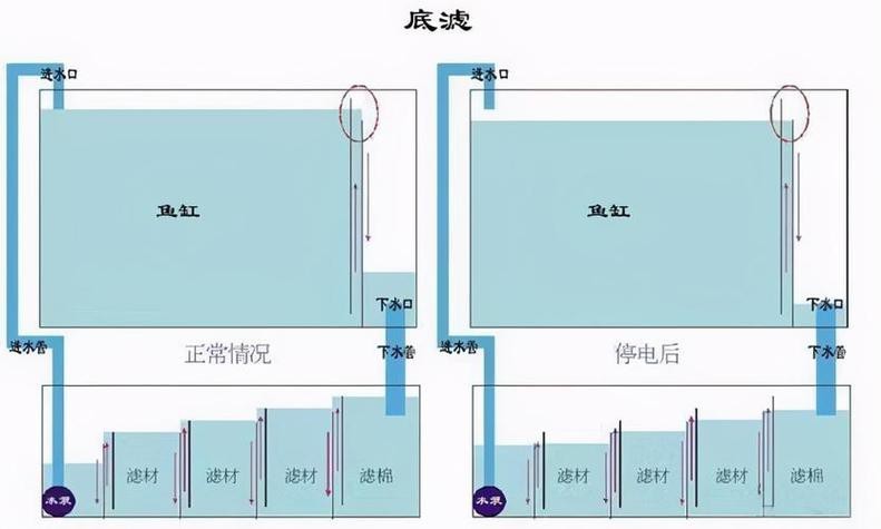 魚缸最佳水位圖|魚缸最佳水位設(shè)置的黃金法則