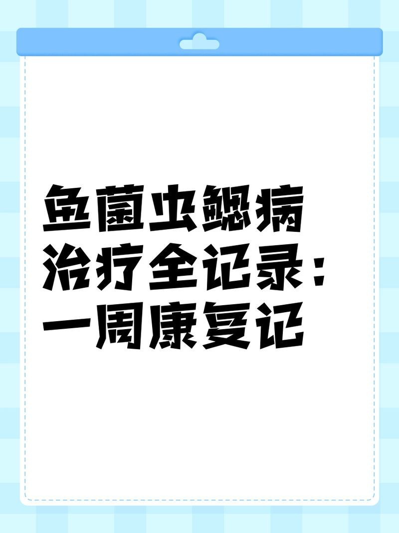 魚真菌感染怎么治療|《魚真菌感染怎么治療》