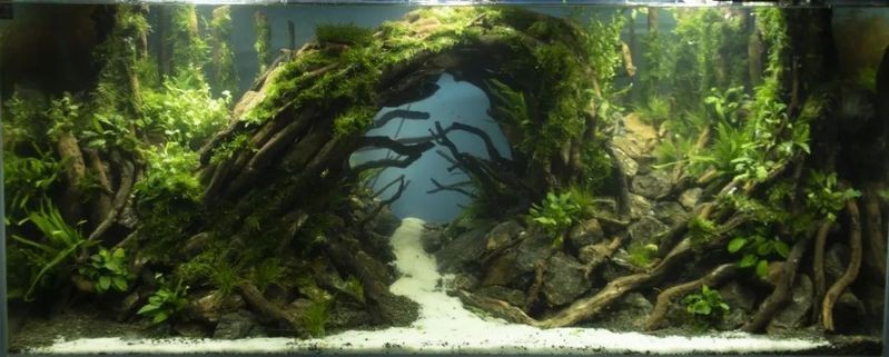能提供更多龍魚缸造景設計效果圖嗎？|龍魚缸造景設計效果圖