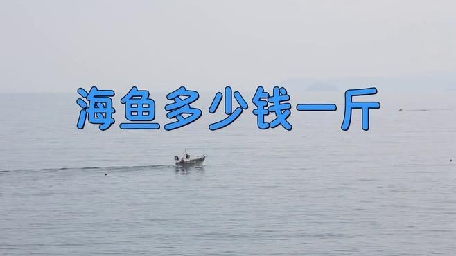 海魚(yú)一般多少錢(qián)一條|海魚(yú)多少錢(qián)一斤