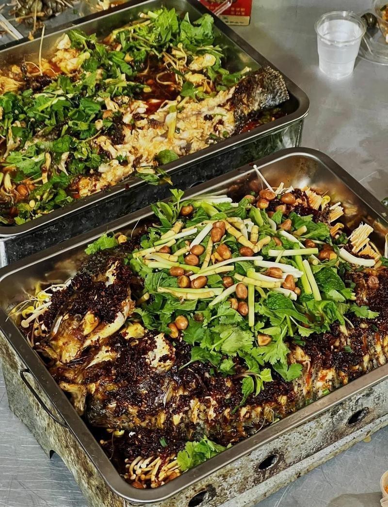 都安龍魚店|都安龍魚店有哪些推薦