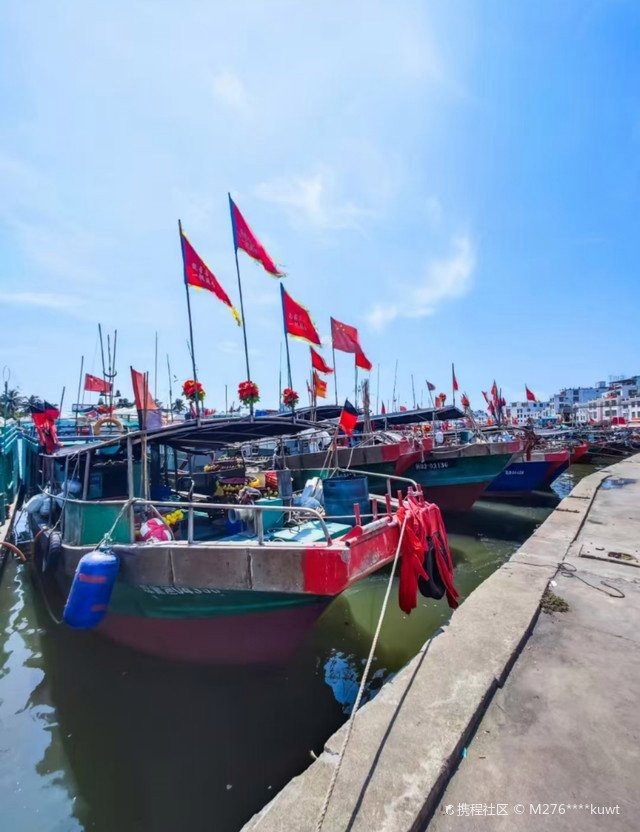 瓊海龍魚店|瓊海地區(qū)的“龍魚店”聚焦于特色水產(chǎn)品經(jīng)營(yíng)，為當(dāng)?shù)丶爸苓呄M(fèi)者提供多樣化的海鮮選擇