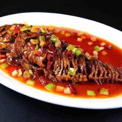 福魚是鱷雀鱔嗎|“福魚怪魚鱷雀鱔”