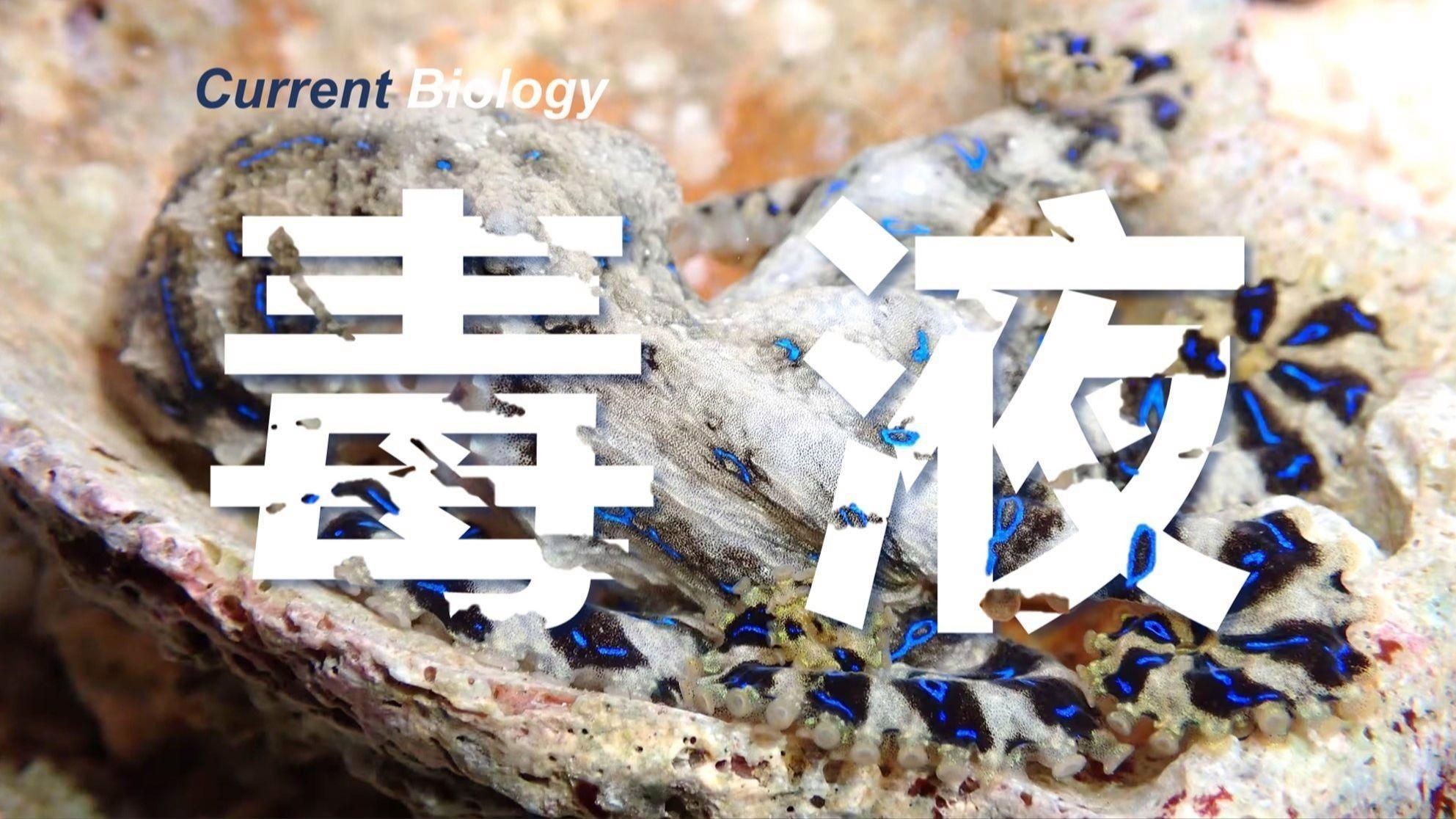 藍(lán)色的魚有哪些|《藍(lán)色的魚有哪些》本文圍繞“藍(lán)色的魚有哪些”展開(kāi)介紹