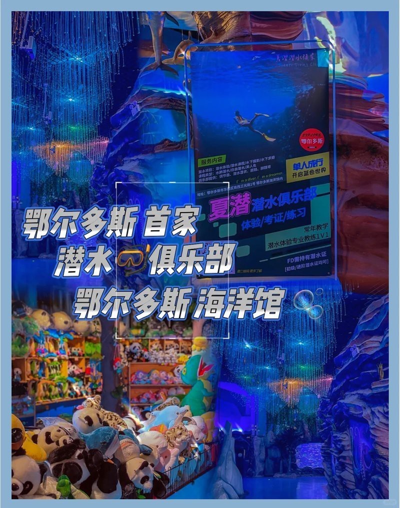 鄂爾多斯水族店|鄂爾多斯水族店分布廣泛且各具特色為當地居民提供了豐富的選擇