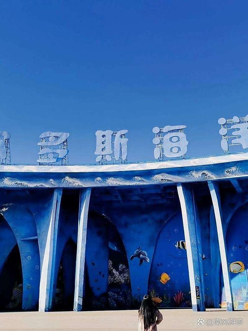 鄂爾多斯水族店|鄂爾多斯水族店分布廣泛且各具特色為當地居民提供了豐富的選擇