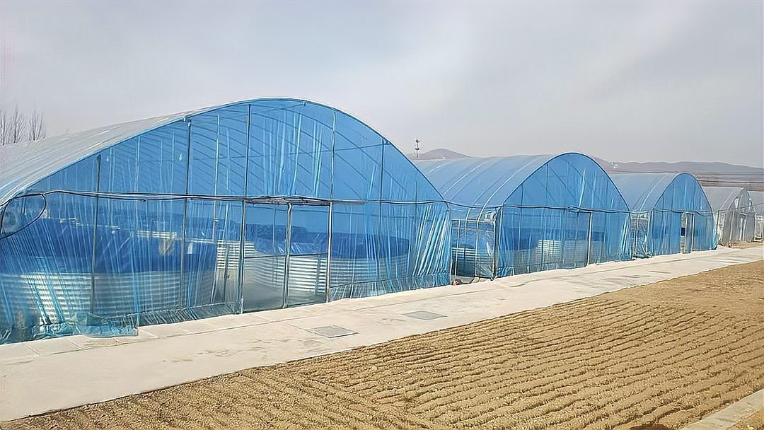 鄒城龍魚店|濟寧市鄒城市銘龍坊水族店
