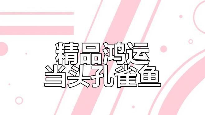 孔雀魚全紅和鴻運當頭的區別|孔雀魚中的“全紅”與“鴻運當頭”