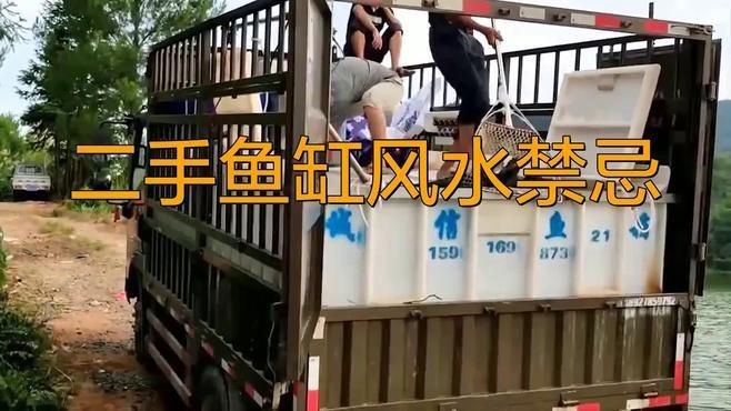 買二手魚缸有忌諱嗎|別人用過的魚缸可以拿來用嗎