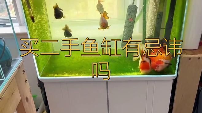買二手魚缸有忌諱嗎|別人用過的魚缸可以拿來用嗎