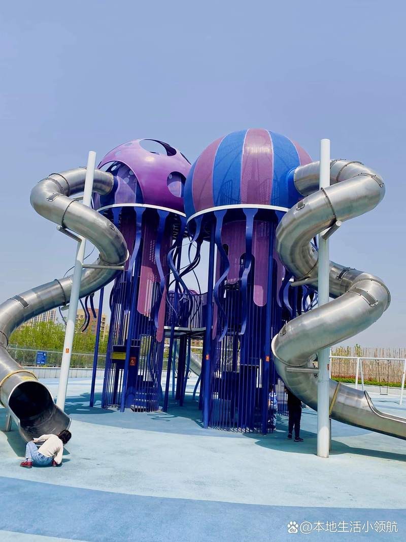 濱州水族店|濱州地區的水族店以豐富的觀賞魚資源和專業服務為特色