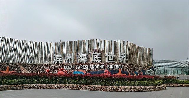 濱州水族店|濱州地區的水族店以豐富的觀賞魚資源和專業服務為特色