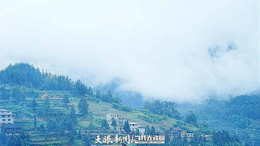 雷山龍魚店|人民網(wǎng)雷山龍魚店的營(yíng)業(yè)時(shí)間是雷山龍魚店的具體位置在哪里
