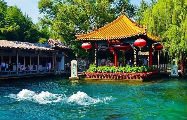 突泉龍魚店|濟南突泉龍魚店的評價如何