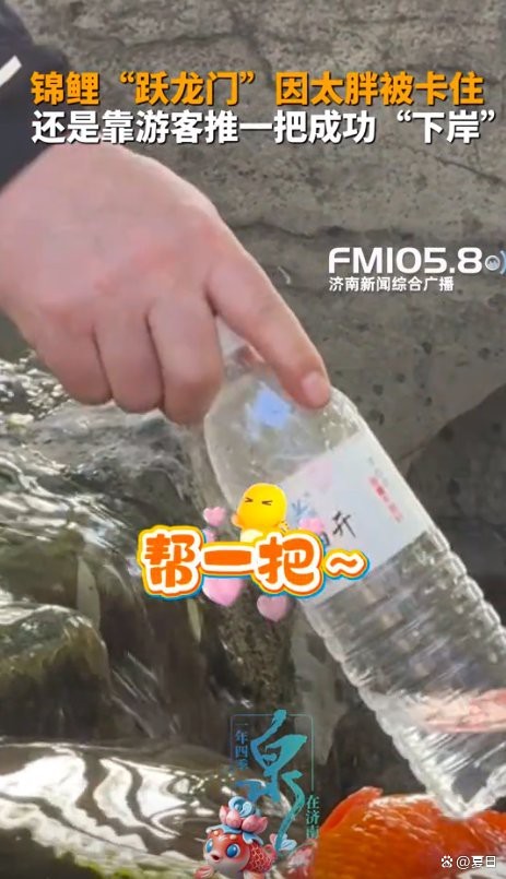 <strong><mark>突泉</mark></strong>龍魚店|濟南<strong><mark>突泉</mark></strong>龍魚店的評價如何