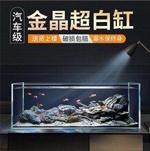 濟(jì)南魚缸批發(fā)市場|山東魚缸批發(fā)市場大揭秘