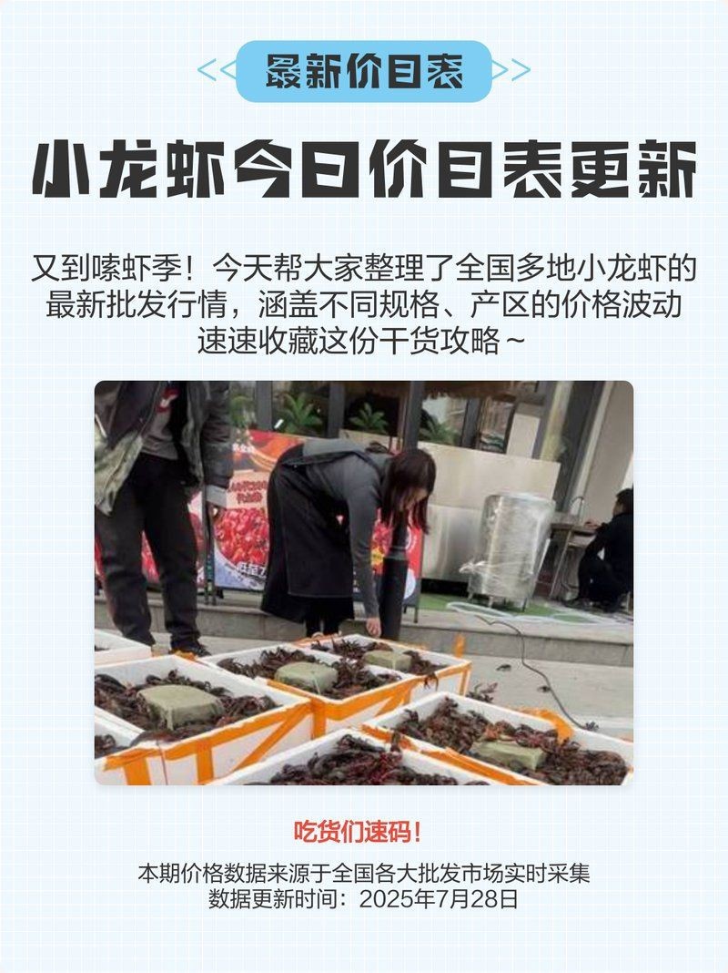 今日小龍蝦報(bào)價(jià)表|2025小龍蝦批發(fā)價(jià)格多少錢一斤