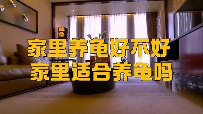 金龍魚寄生蟲感染會(huì)自愈嗎？|家里養(yǎng)龜好不好家里養(yǎng)龜好不好家里養(yǎng)龜好不好