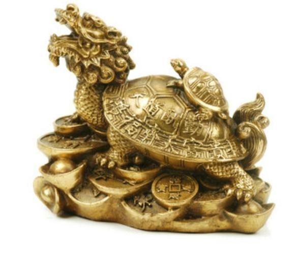 金龍魚寄生蟲感染會(huì)自愈嗎？|家里養(yǎng)龜好不好家里養(yǎng)龜好不好家里養(yǎng)龜好不好