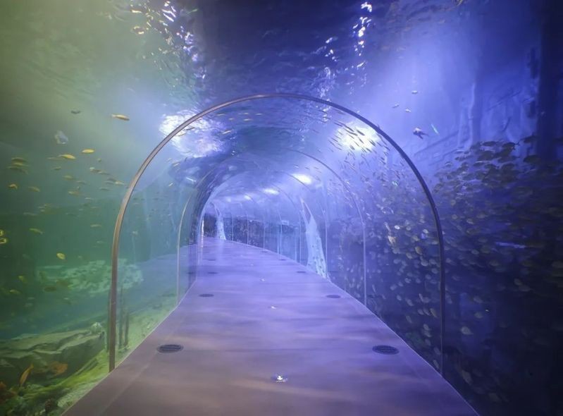 唐山水族館，唐山水族館游記