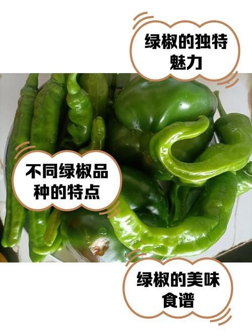 紅綠辣椒圖片|18種辣椒，刷新你的認知