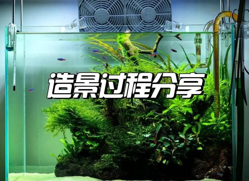 馬印水族魚缸的正確使用方法|馬印水族魚缸正確使用方法摘要馬印水族魚缸造景全攻略