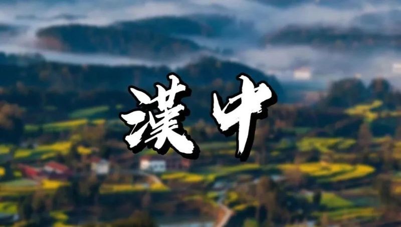 漢南龍魚店|武漢漢南區龍魚店有哪些品種如何聯系漢南區的龍魚店