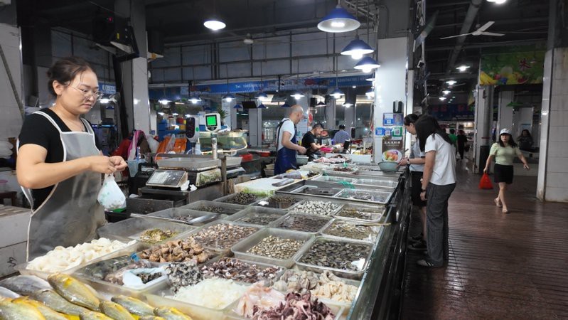 蒼南龍魚店|浙江溫州蒼南縣的龍魚店