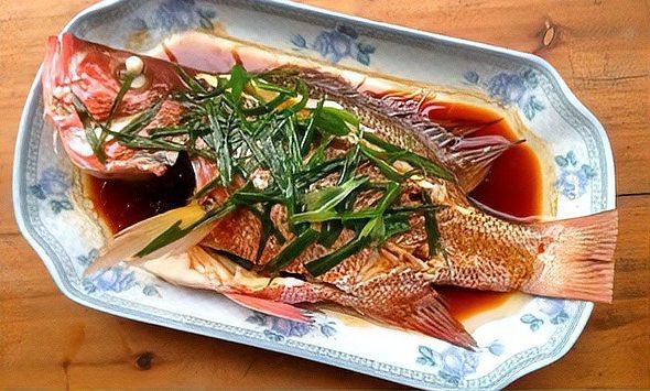 地?cái)傎u的小紅魚是什么魚|地?cái)偵腺u的“小紅魚”并非單一品種并非單一品種，而是多種小紅魚