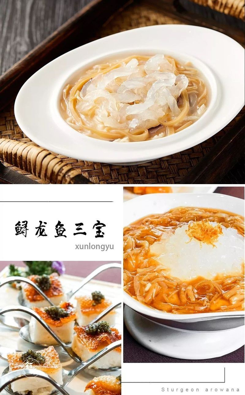 珠海龍魚(yú)店|在珠海也能吃到的國(guó)宴級(jí)“鱘龍魚(yú)宴”