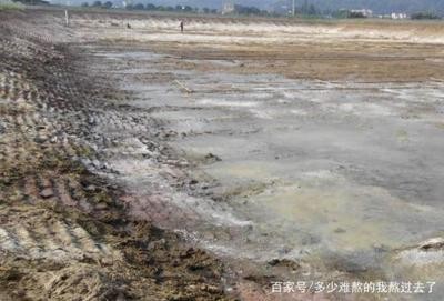 廈門水族箱魚缸維修電話多少 廈門魚缸廠