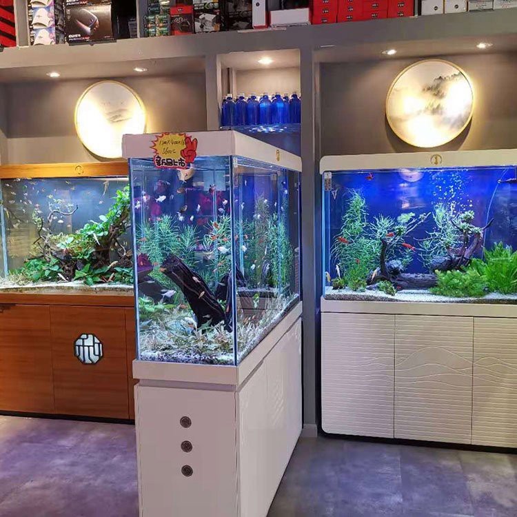 錦江水族店|成都市錦江區千彩陽光水族用品店推薦千彩陽光水族用品店