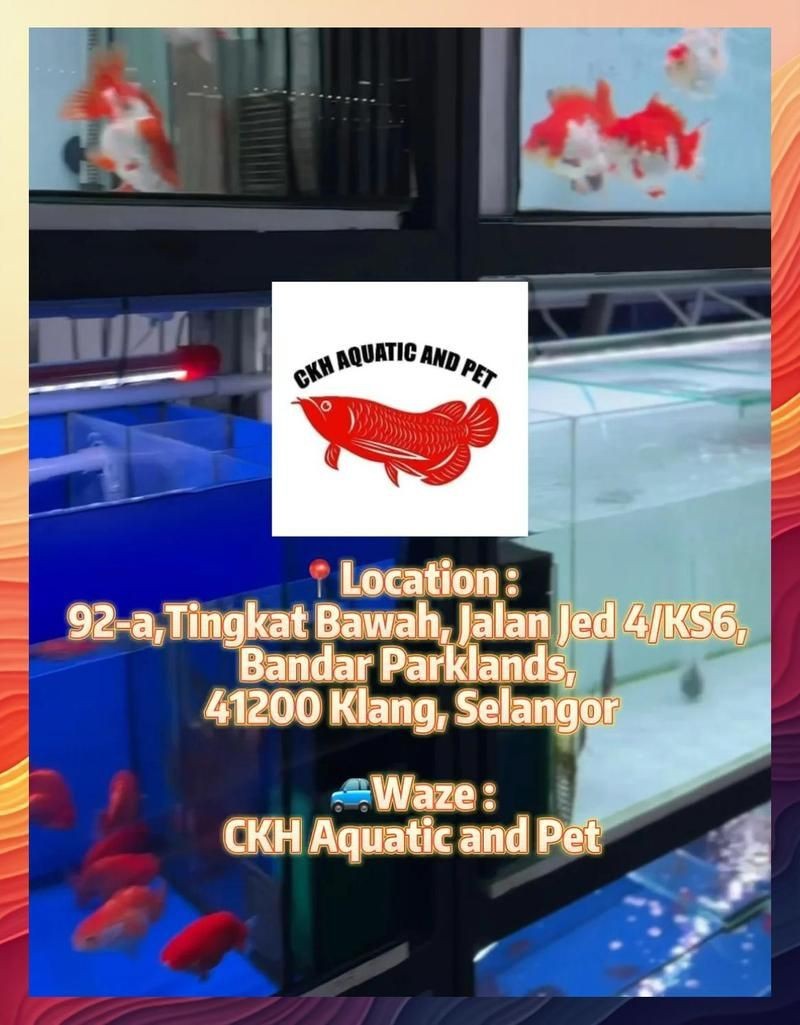 巴音郭楞蒙古自治州魚缸批發(fā)市場|巴音郭楞蒙古自治州魚缸批發(fā)市場前景分析