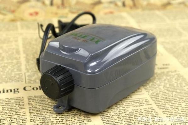 金龍魚財務健康狀況：金龍魚的財務健康狀況如何？