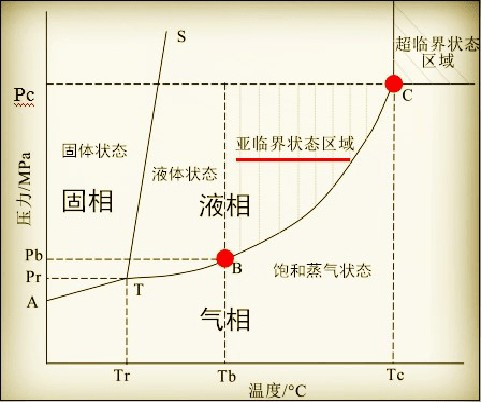 過背金龍魚一年可以長多大的魚呢：過背金龍魚一年內可以長多大