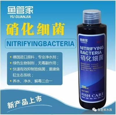 如何調節四紋虎魚水質酸堿度，如何調節四紋虎魚的水質酸堿度