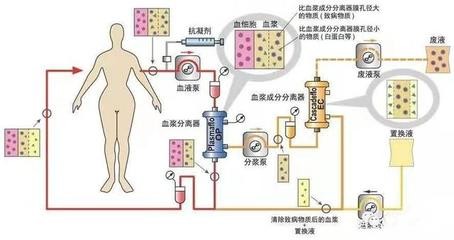 魟魚有毒怎么養(yǎng)殖的視頻：如何養(yǎng)殖有毒的魟魚